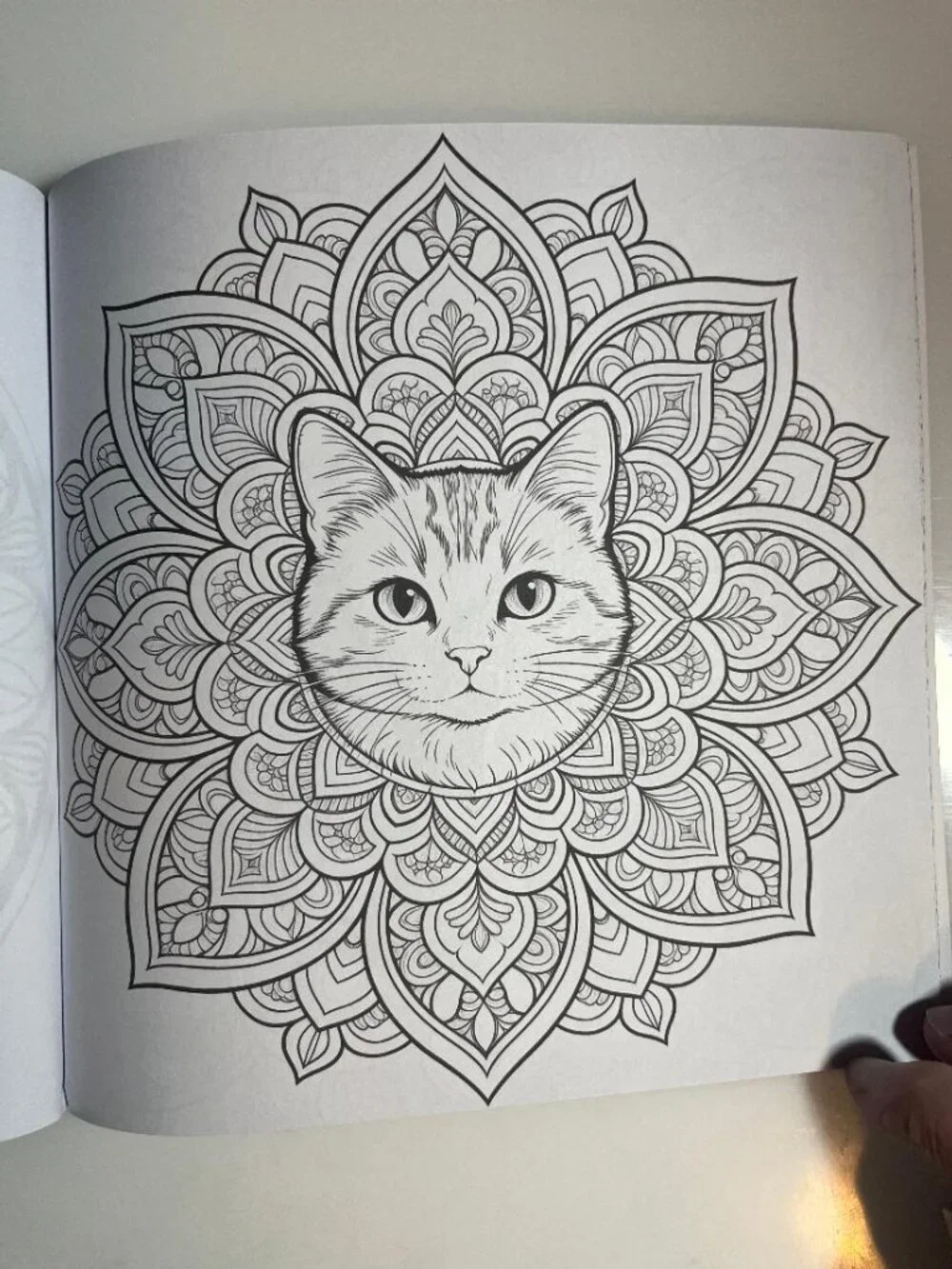 #COLOR-4 Animal Mandala Adult Coloring Book